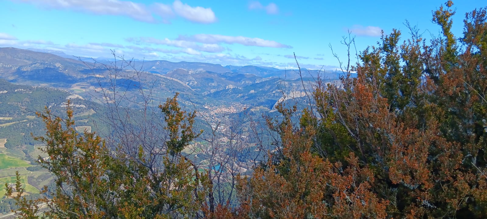 WhatsApp Image 2026 03 6.37