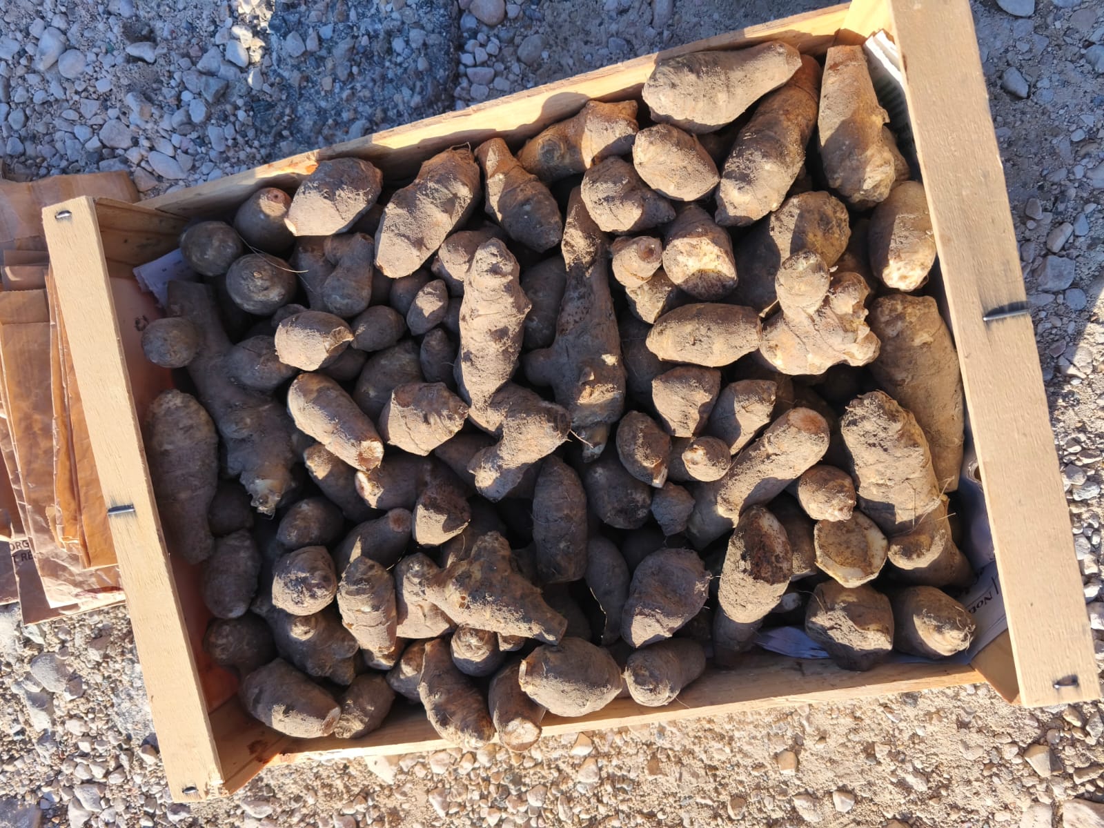 WhatsApp Image 2025 12 14 at 21.48.ss09