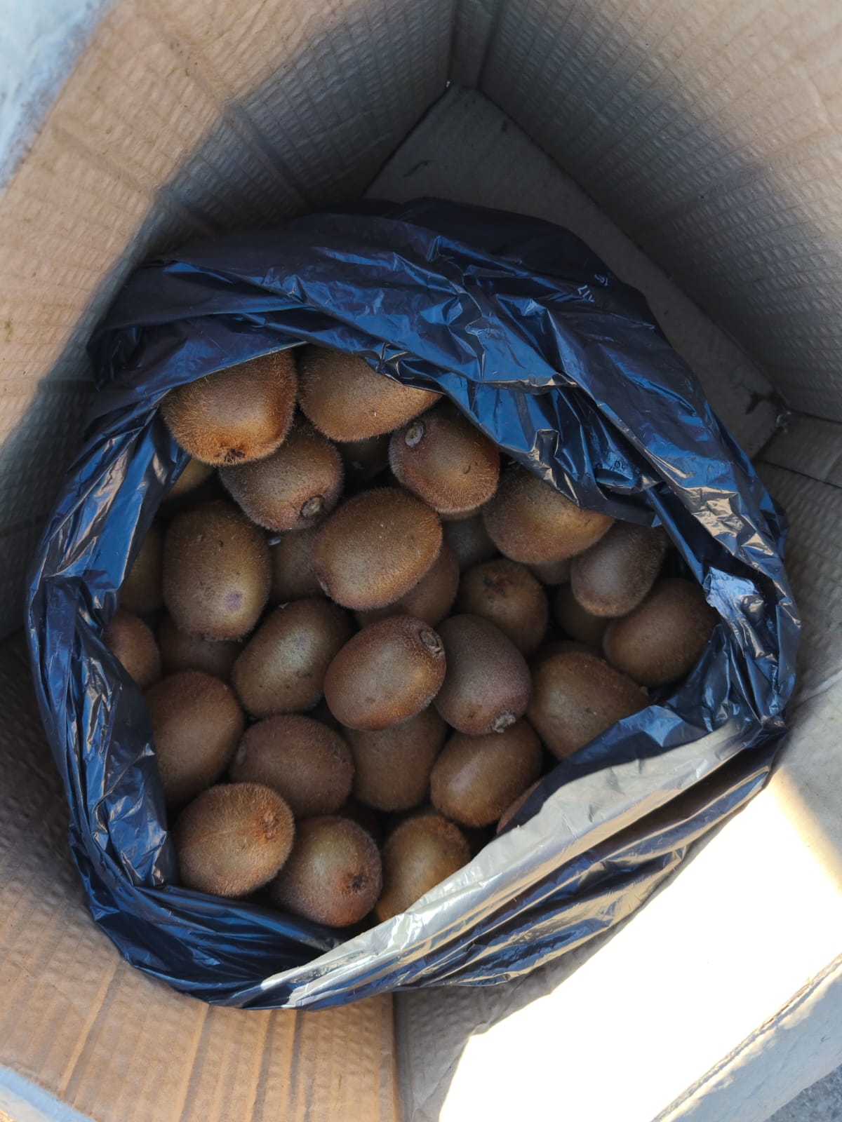 WhatsApp Image ss2025 12 14 at 21.48.08