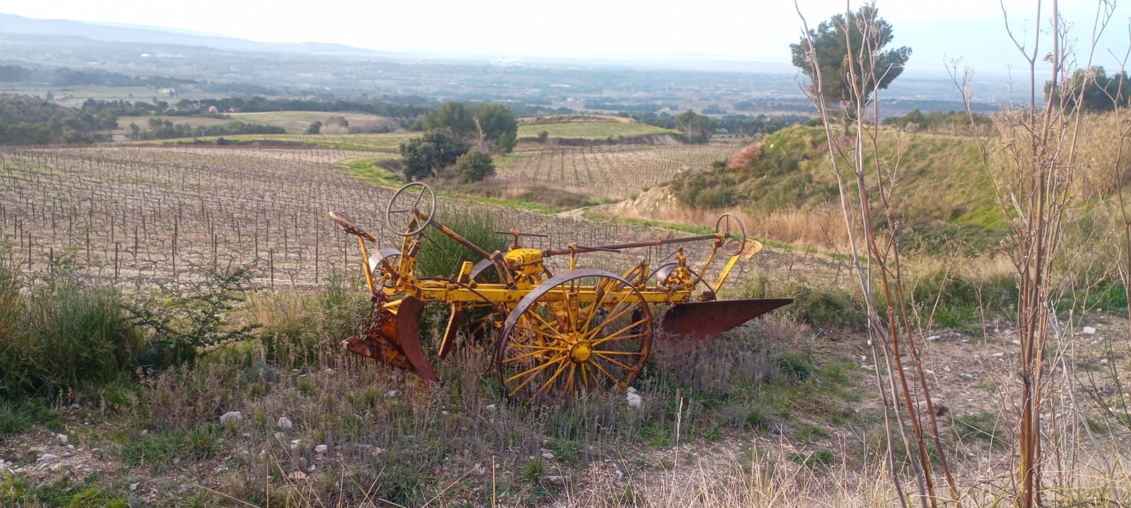 WhatsApp Image 2026 013 at 13.50.44