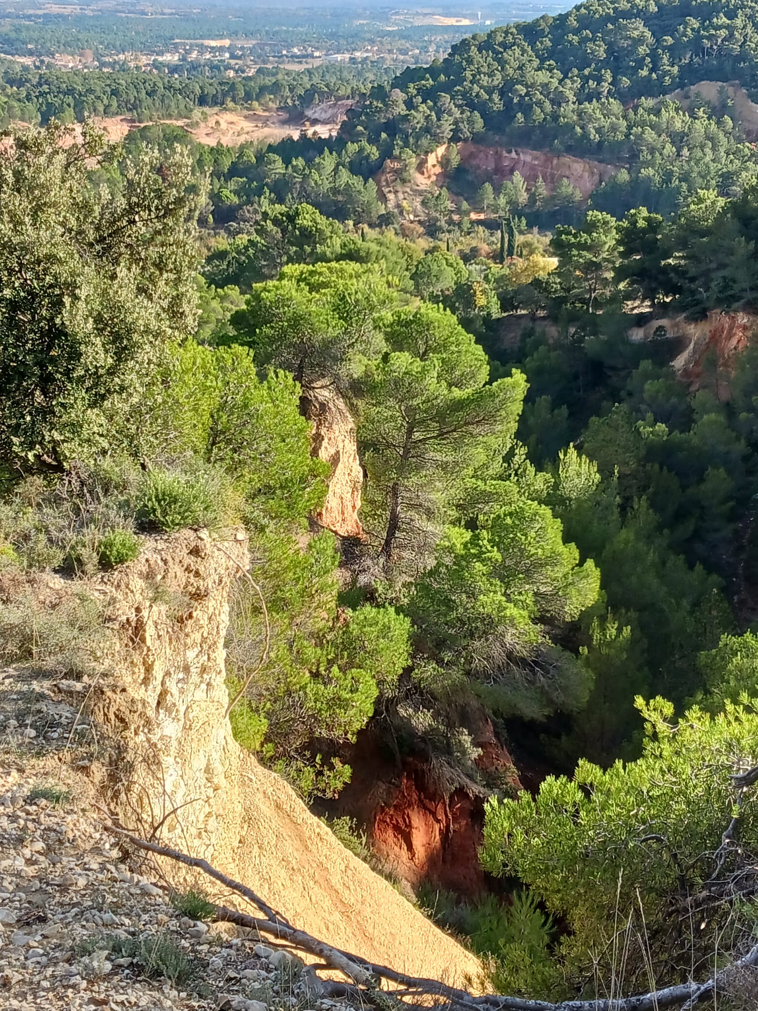 WhatsApp Image 2025 11 11 at 12.47.59