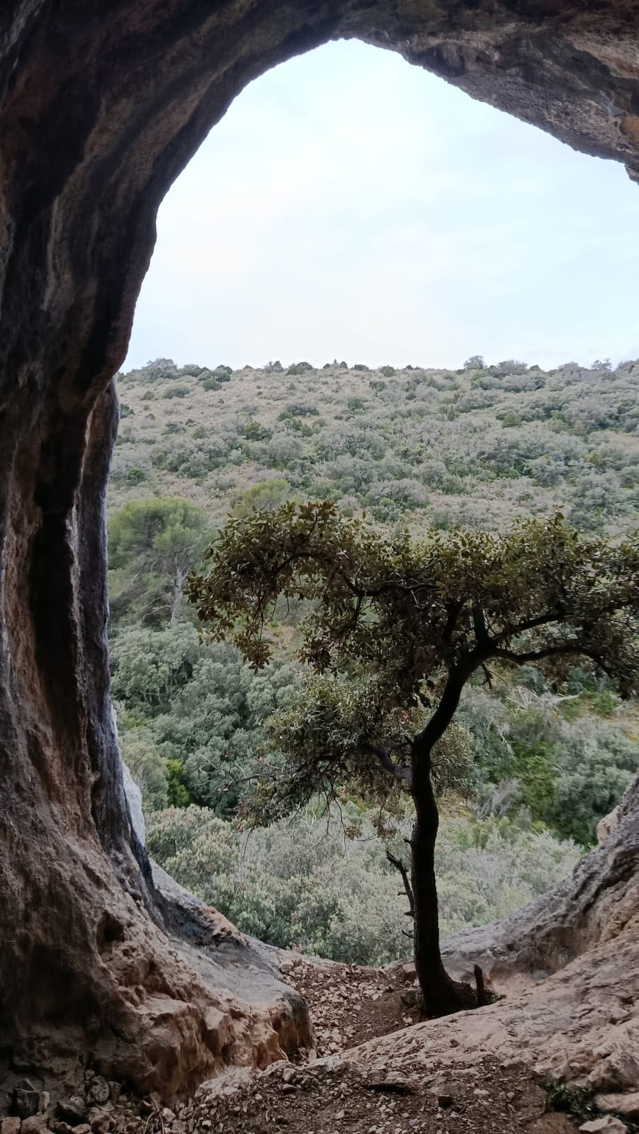 WhatsApp I01 16 at 15.13.22