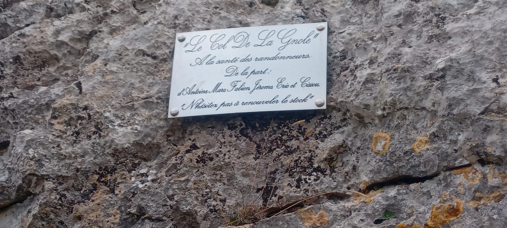 WhatsApp Image 2026 01 16 at 14.29.44