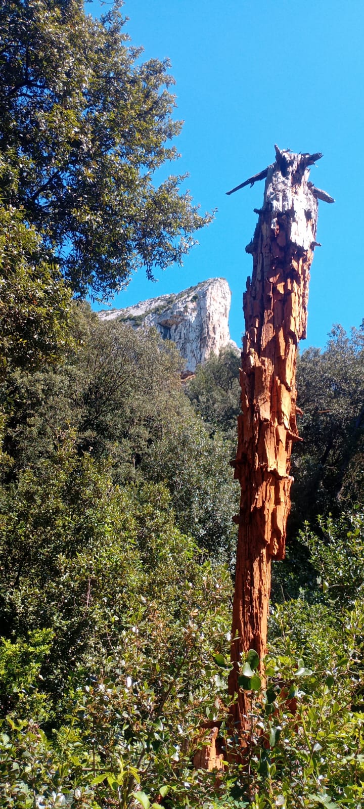 WhatsApp Image 2026t 19.01.33