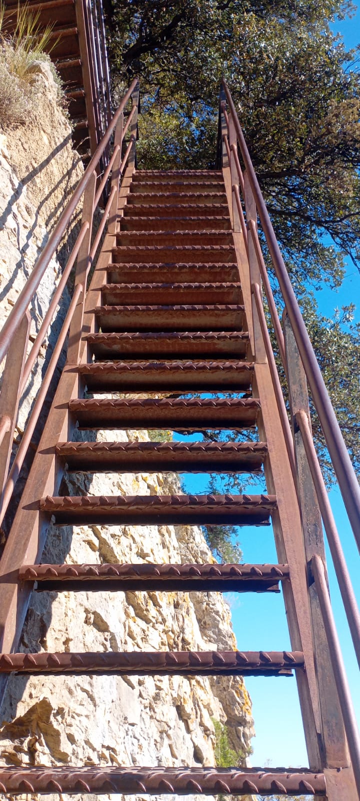 WhatsApp Image 202 19.01.27