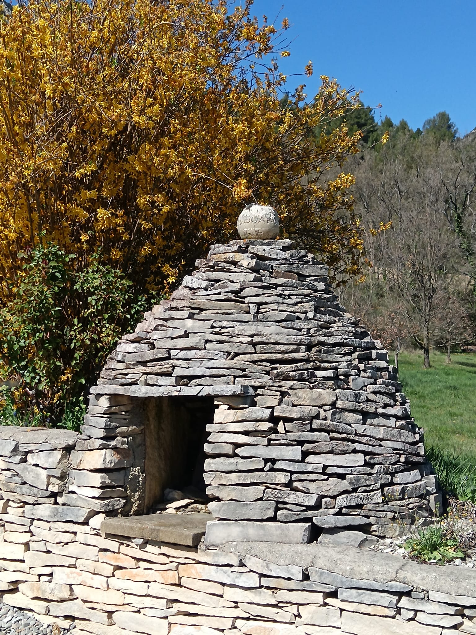 WhatsApp Image 2009 at 19.03.00