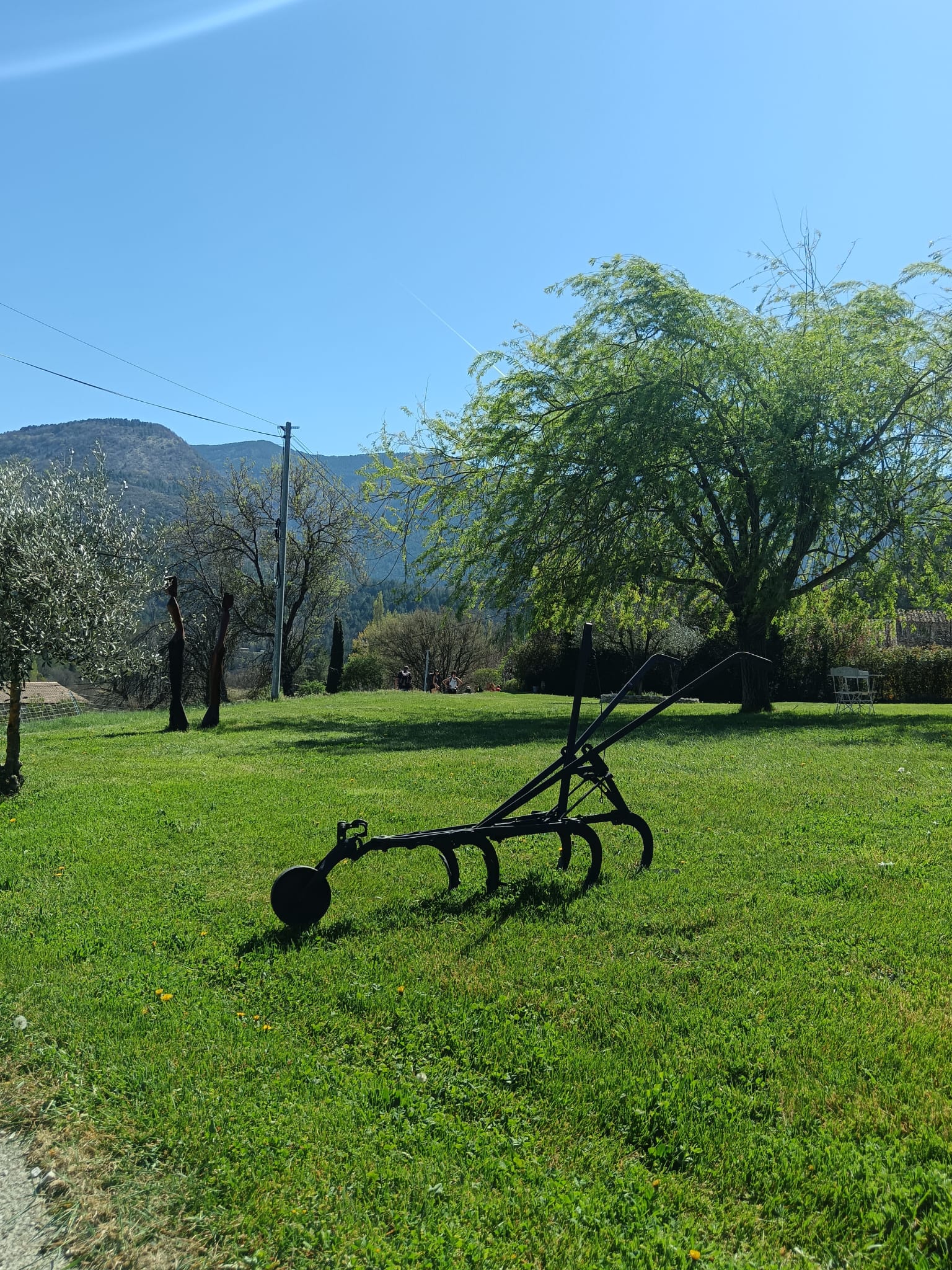 WhatsApp Image 2023.00