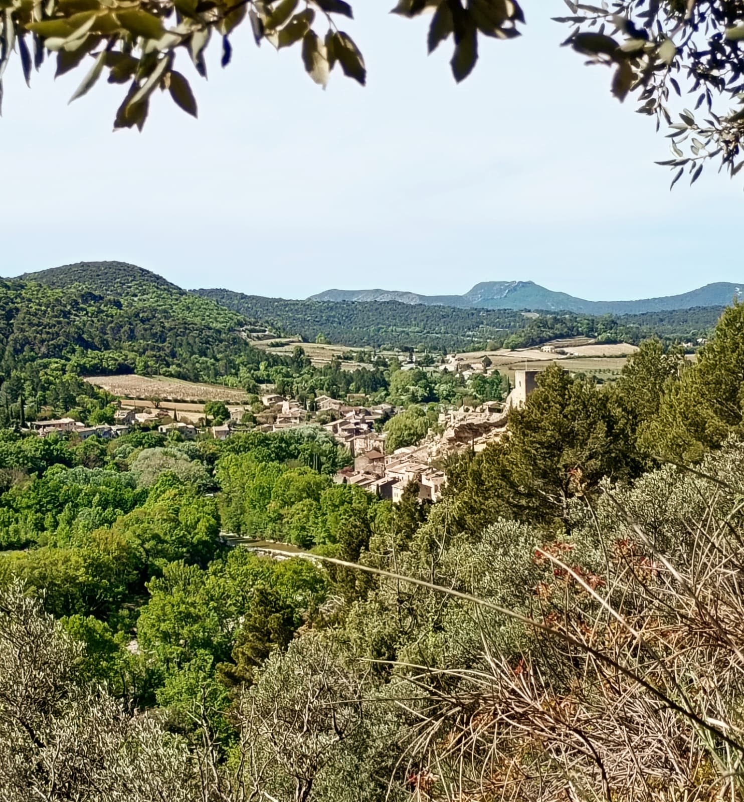 WhatsApp Image 2026 04 19 at 9.30.37