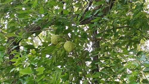 WhatsApp Image 2025 09 08 à 19.05.27 d3b58551