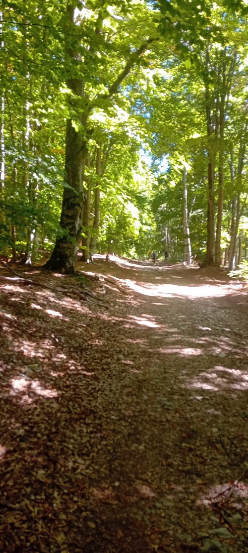 WhatsApp Image 2025 09 18 à 19.14.43 ef292b35