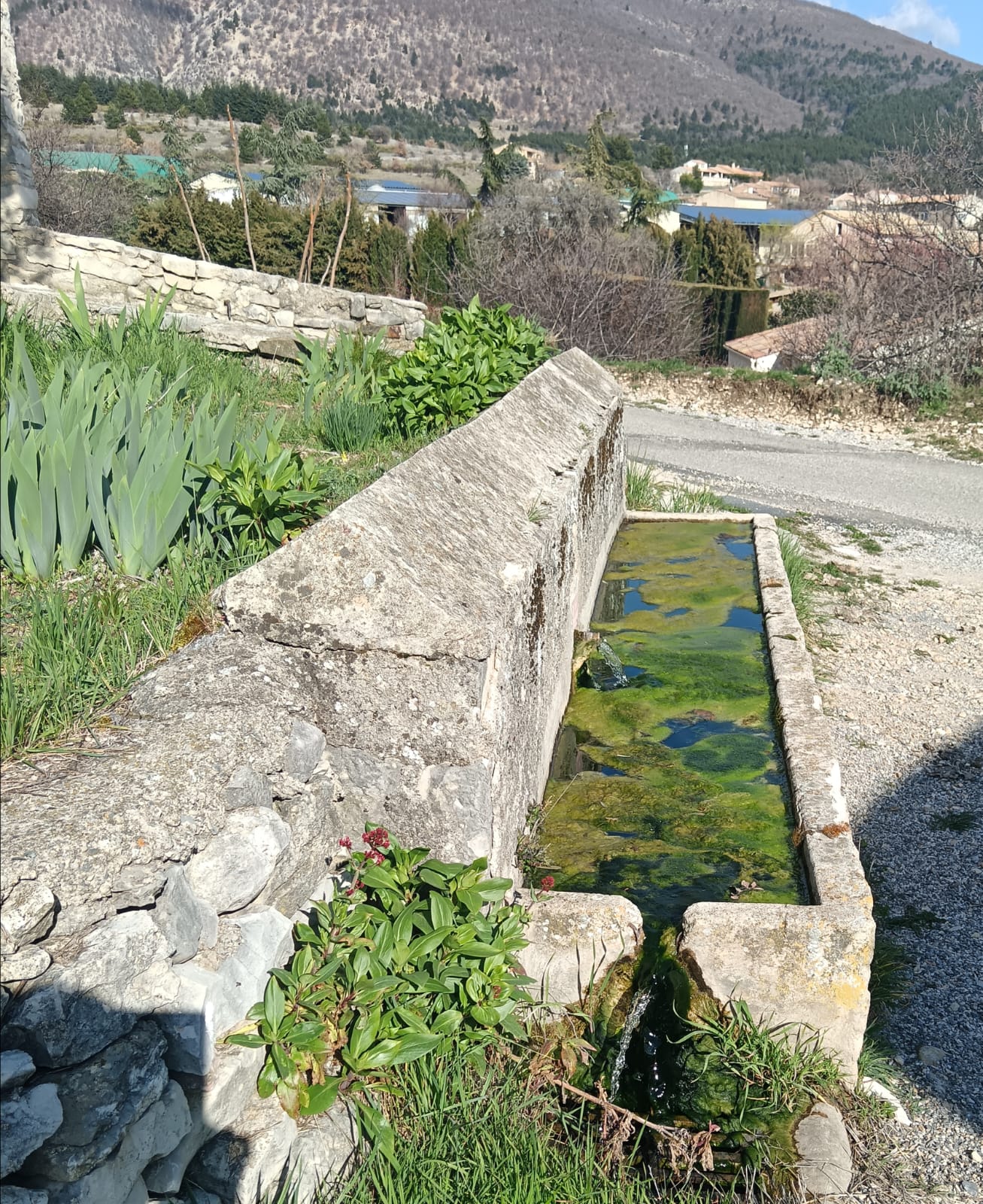 Whats2026 03 19 at 19.02.11