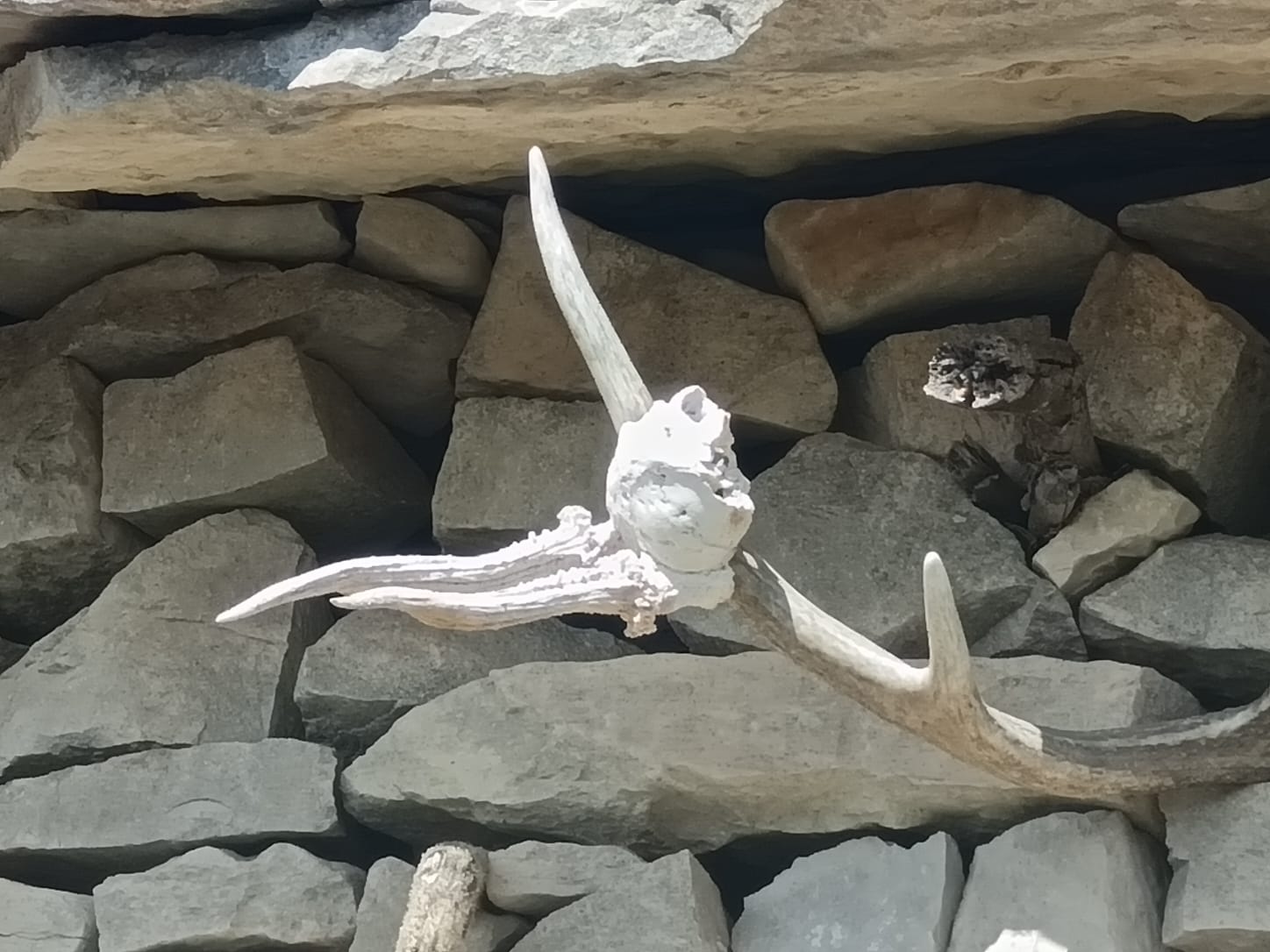 WhatsApp I03 19 at 19.02.09