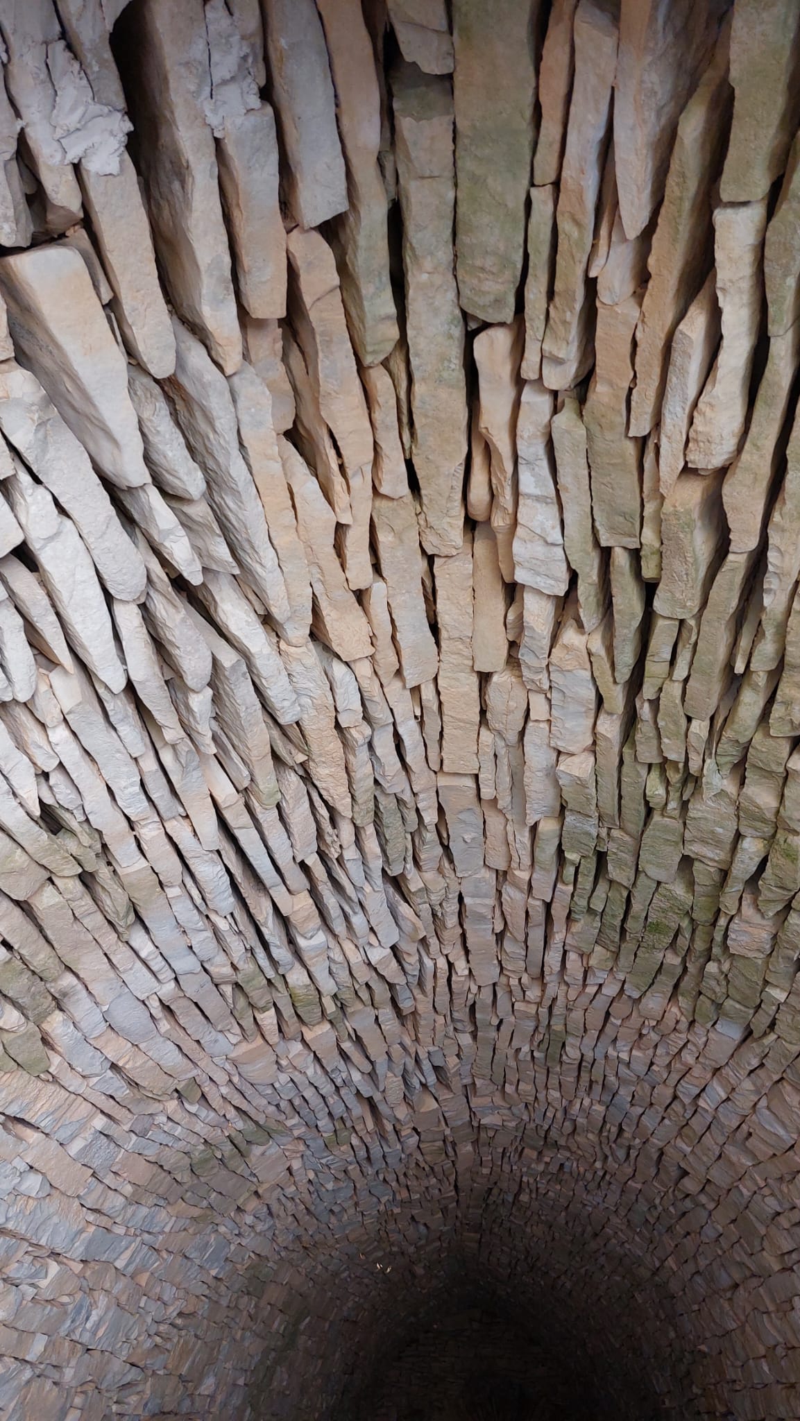 WhatsApp Image19 at 19.01.29