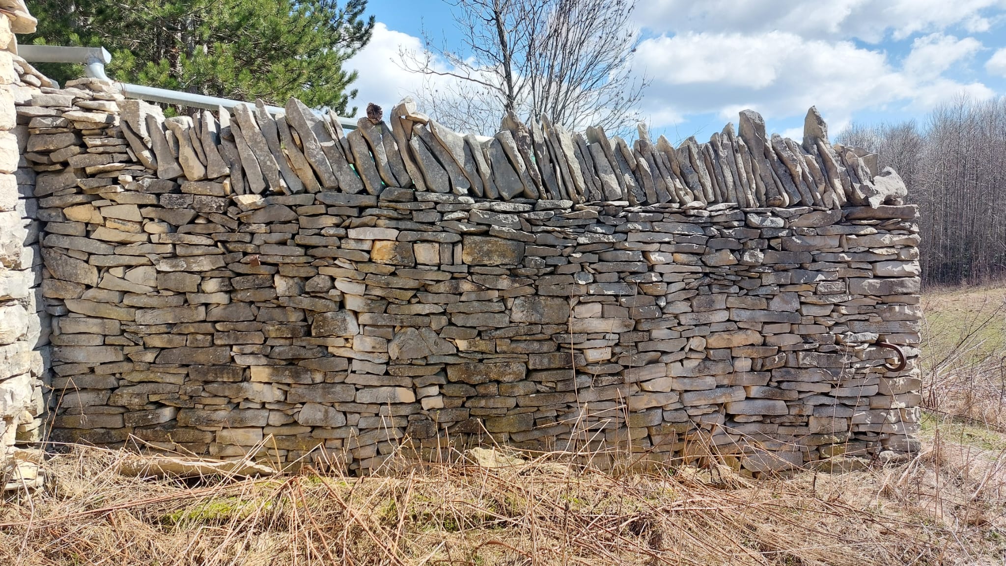 WhatsApp Image 20269 at 19.01.28