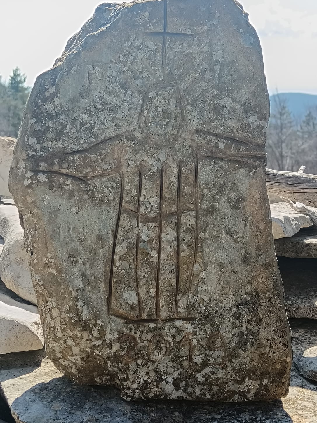 WhatsApp Image 219 at 19.02.09