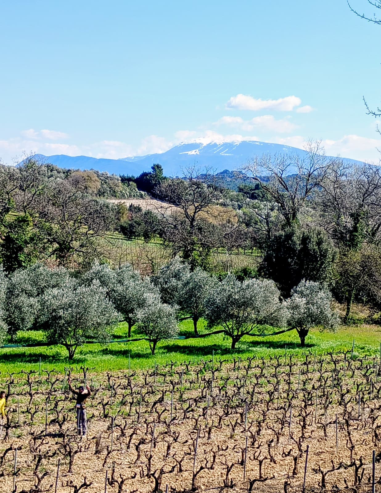 WhatsApp Image 19 at 19.29.15