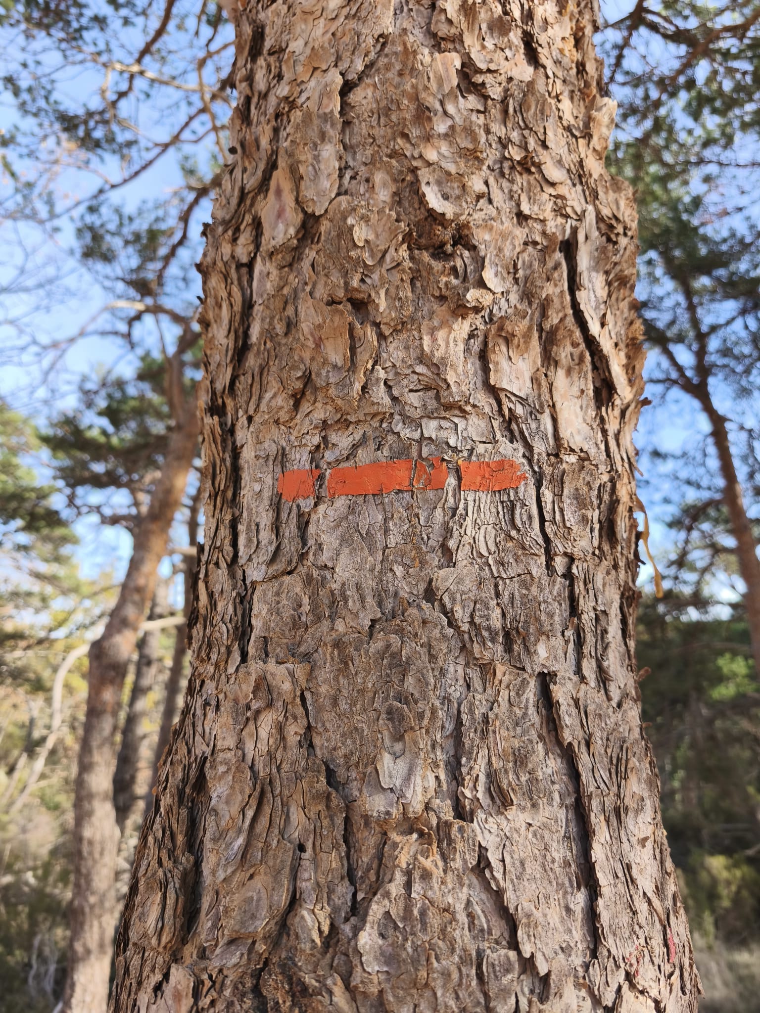 WhatsApp Image 2025 11 24 at 15.06.10