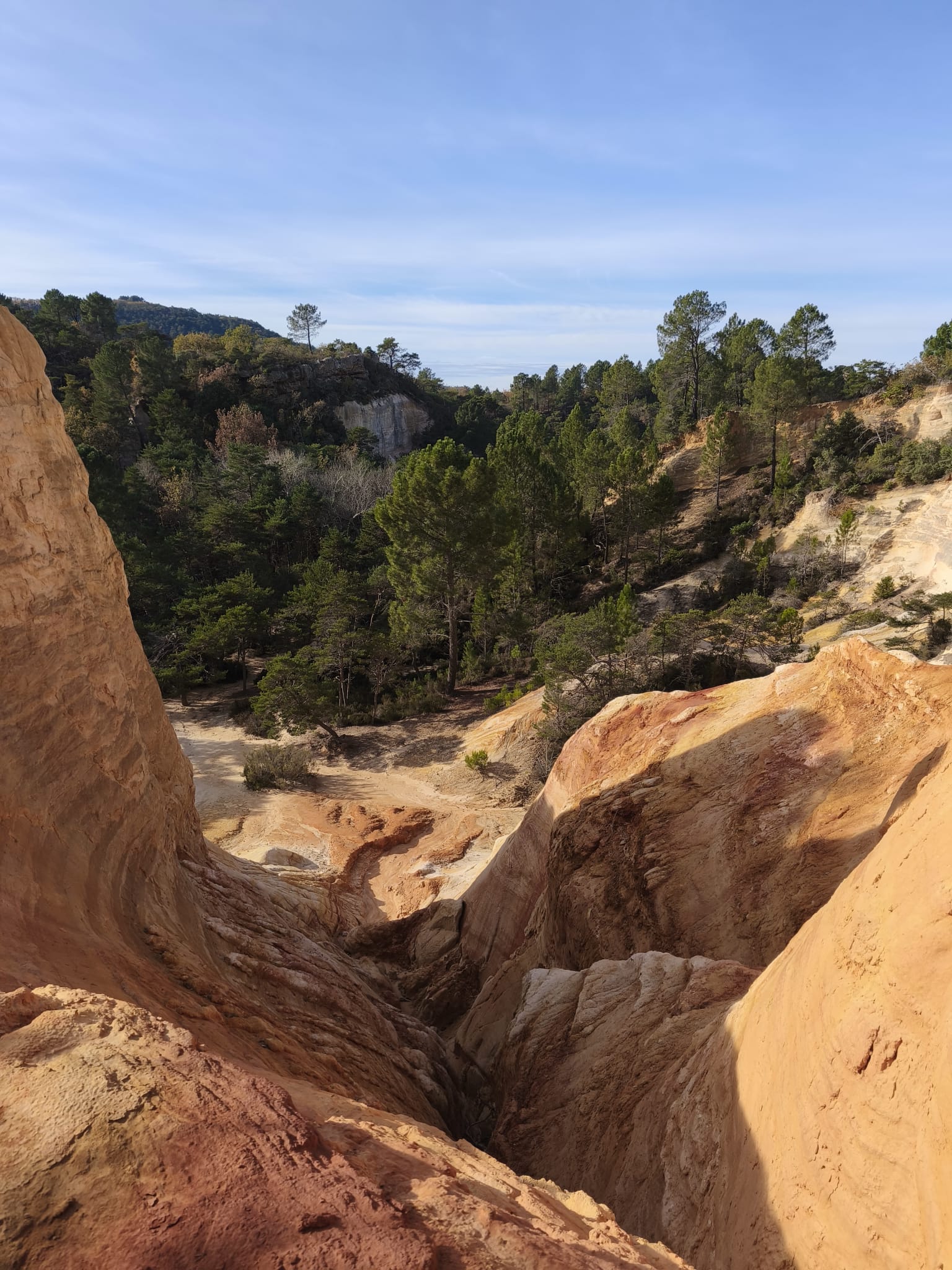 WhatsApp Image 2025 11 24 at 15.06.16