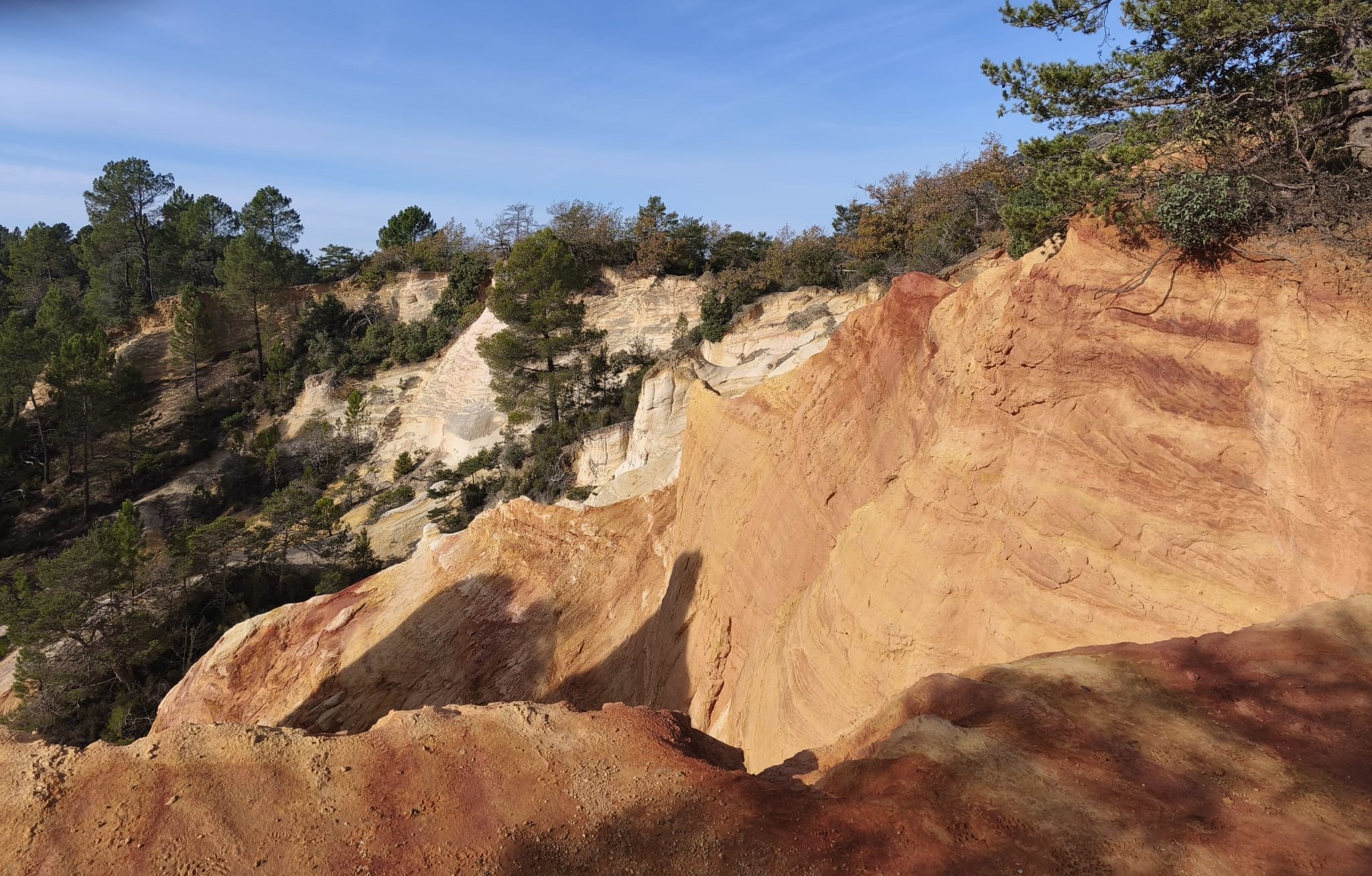 WhatsApp Image 2025 11 24 at 15.06.22