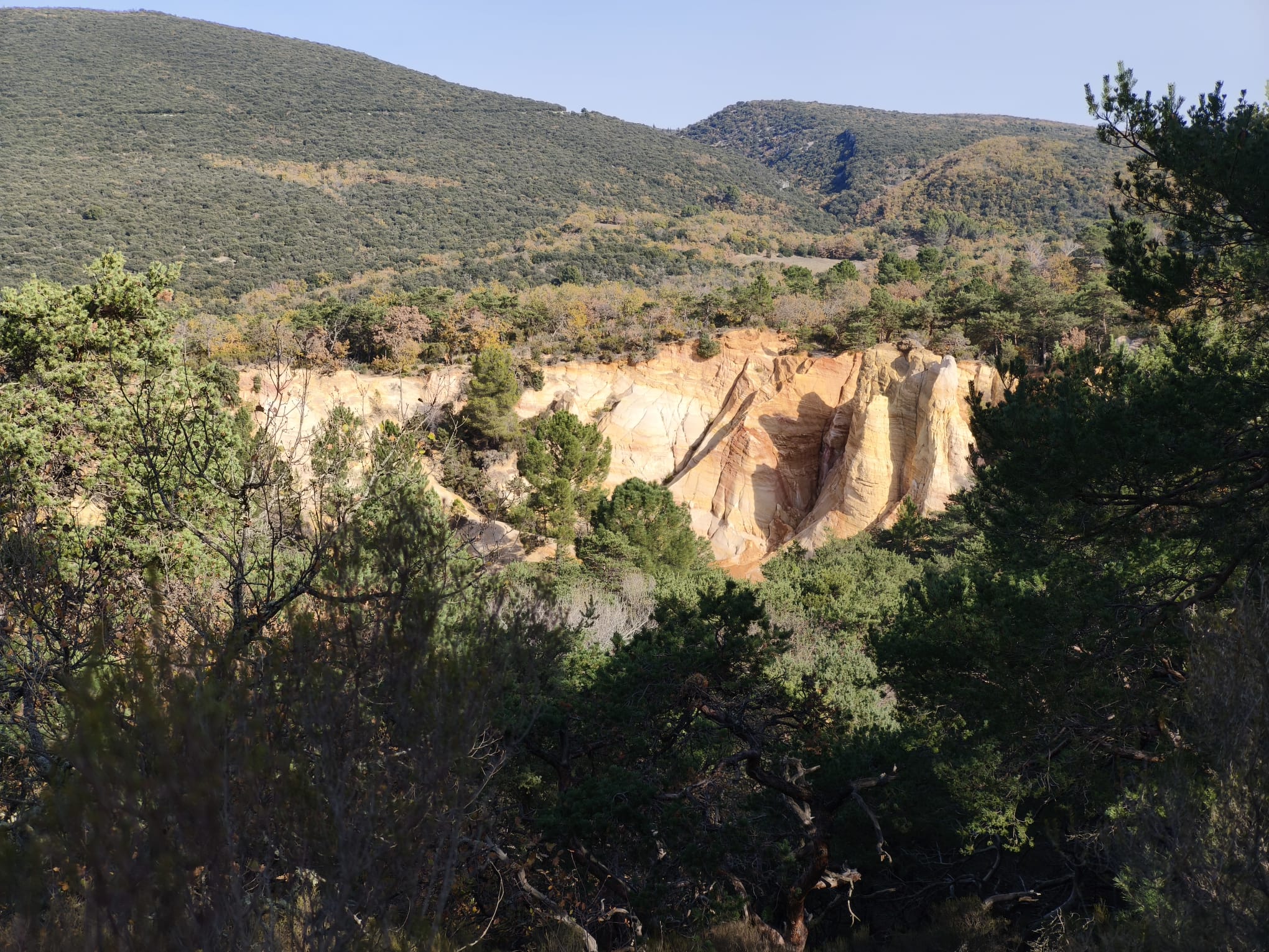 WhatsApp Image 2025 11 24 at 15.06.47