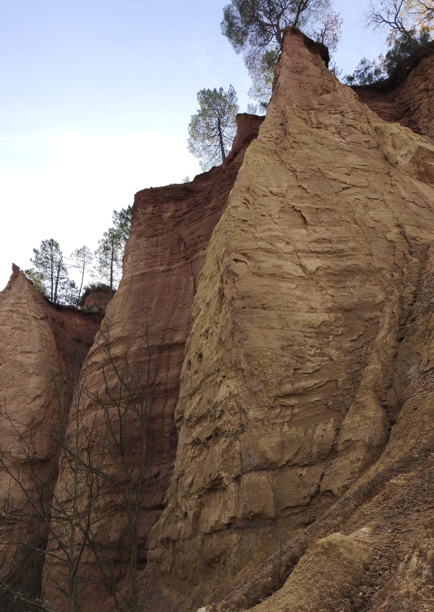 WhatsApp Image 2025 11 24 at 15.07.03