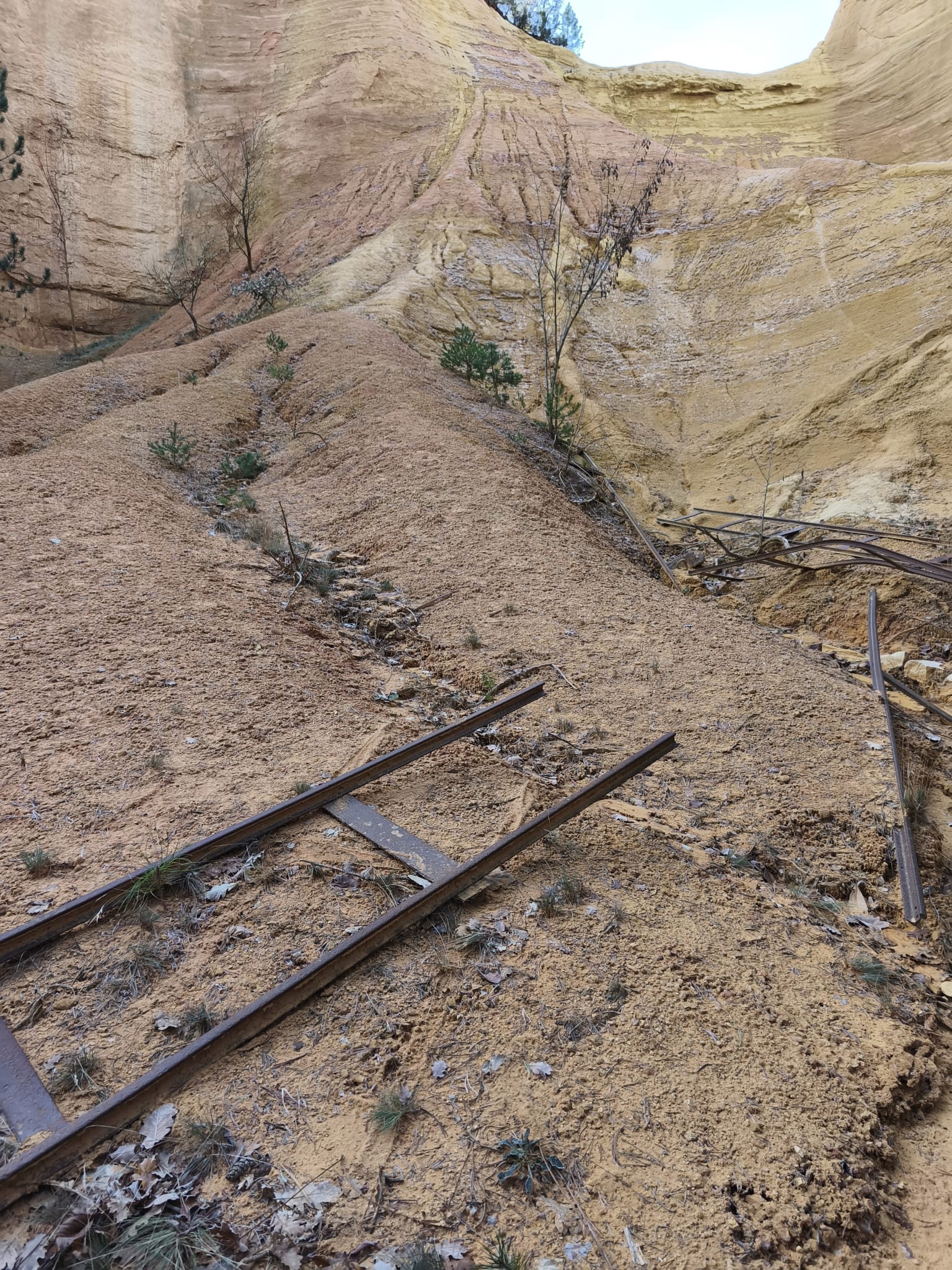 WhatsApp Image 2025 11 24 at 15.07.07