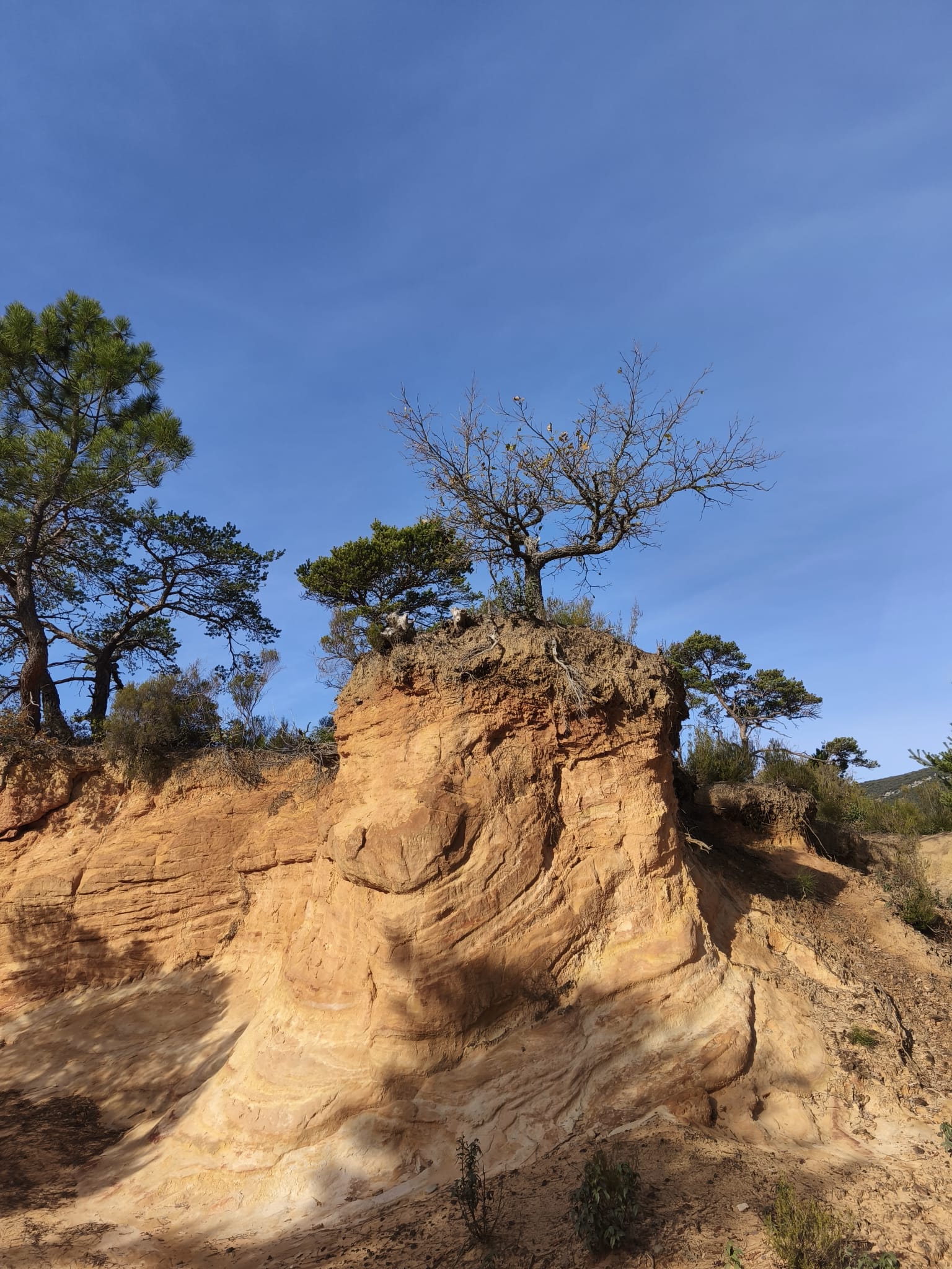 WhatsApp Image 2025 11 24 at 15.10.03