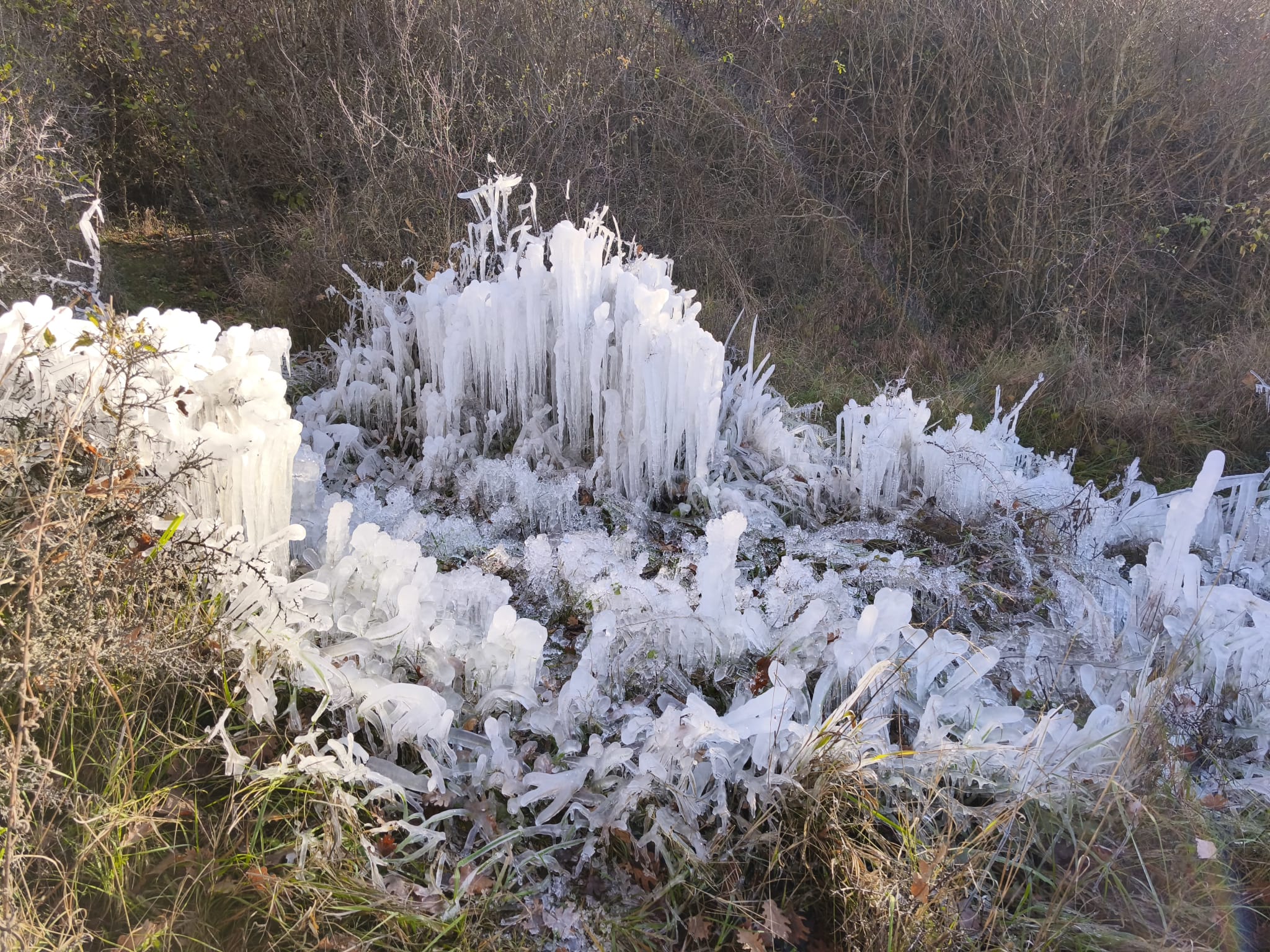 WhatsApp Image 2025 11 24 at 15.11.32