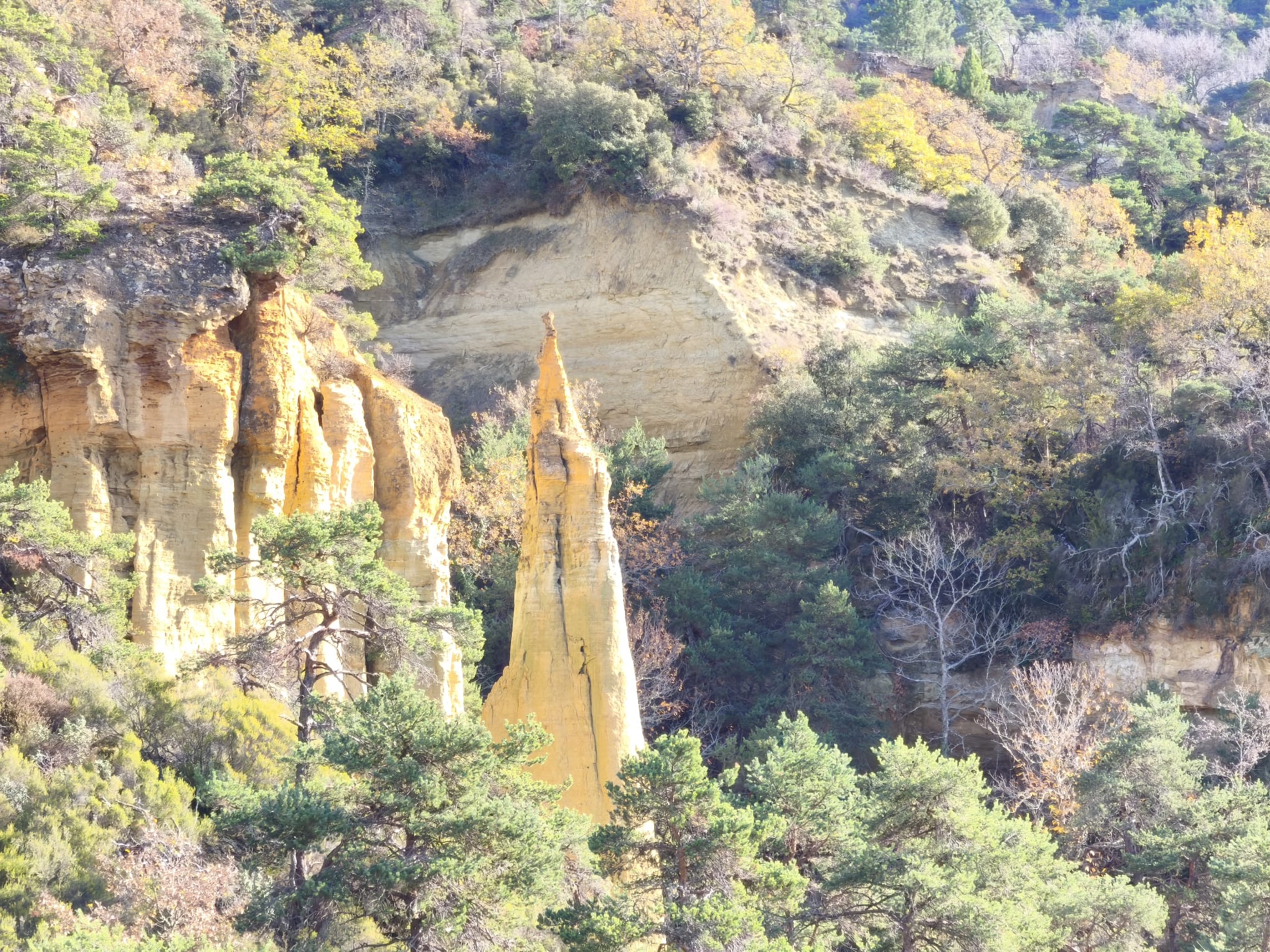 WhatsApp Image 2025 11 24 at 15.11.39 1