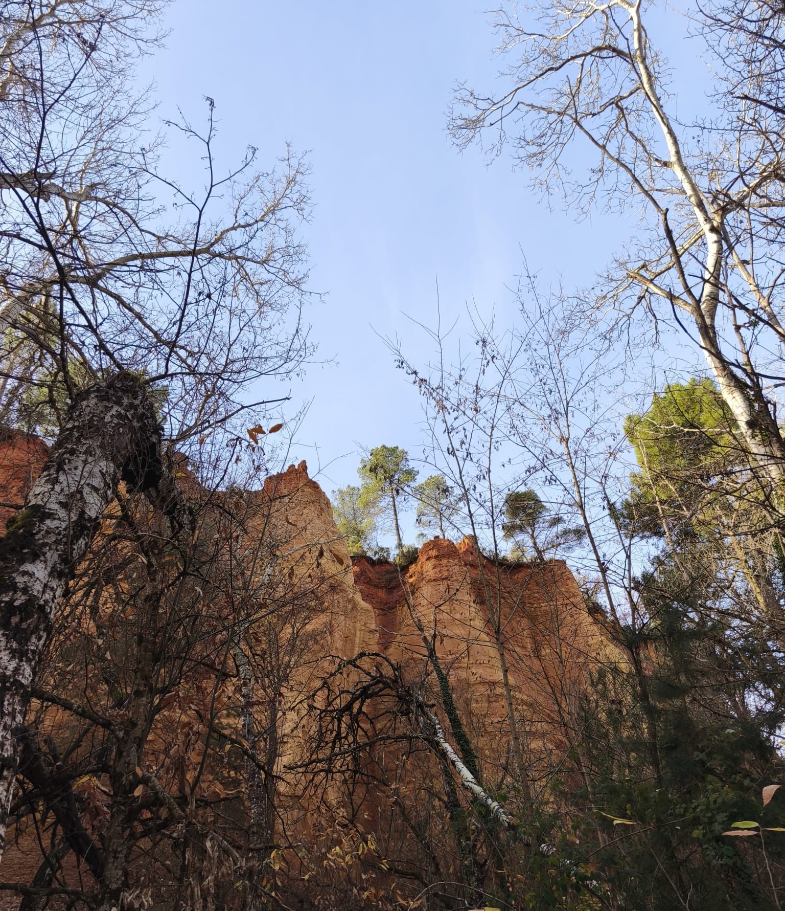 WhatsApp Image 2025 11 24 at 15.11.41