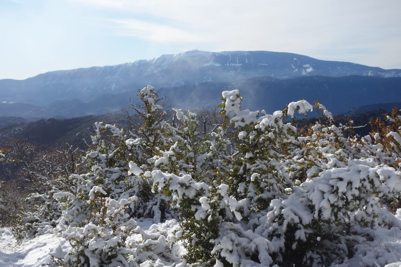 WhatsApp I25 at 18.13.55