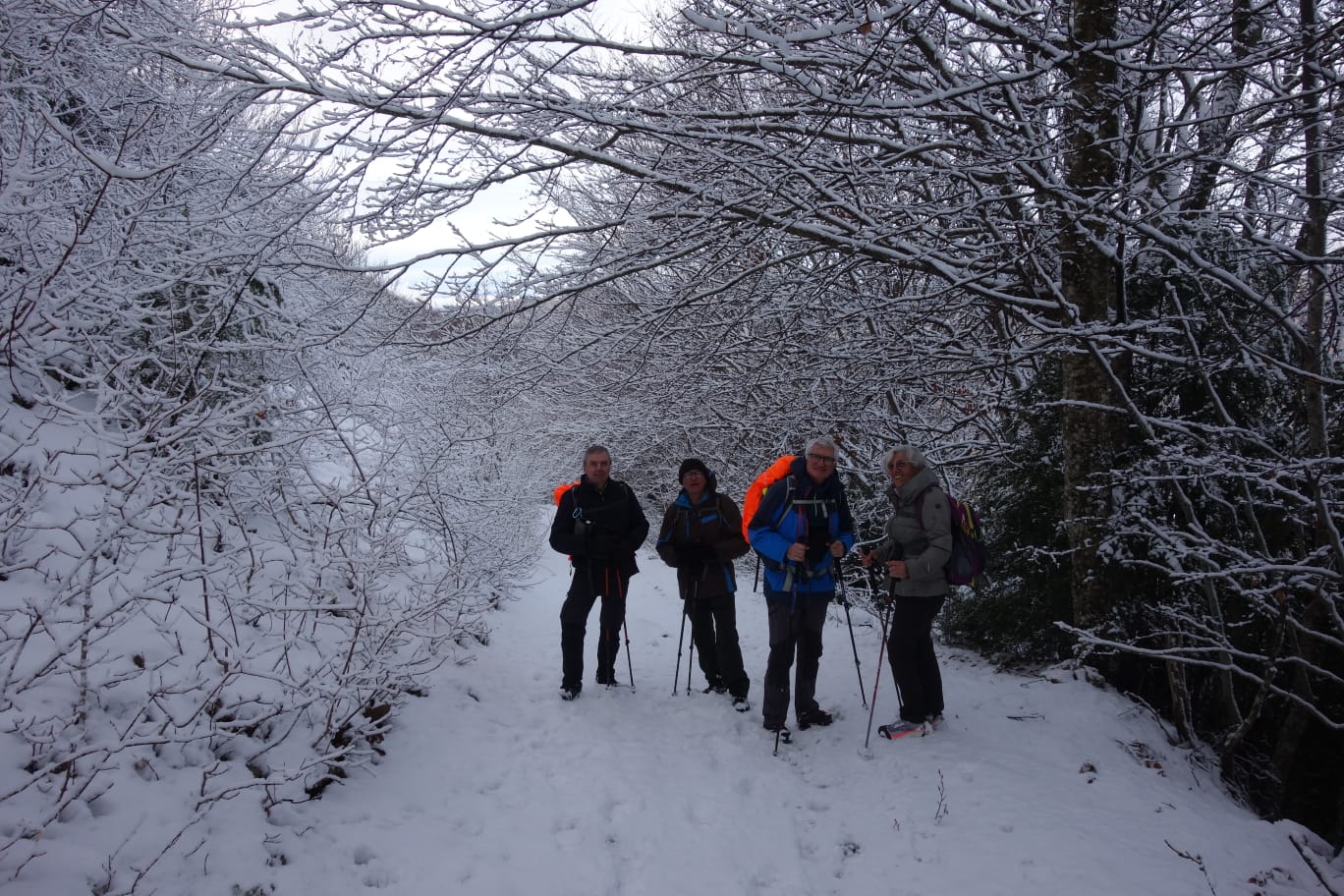 WhatsApp I5 at 18.13.56