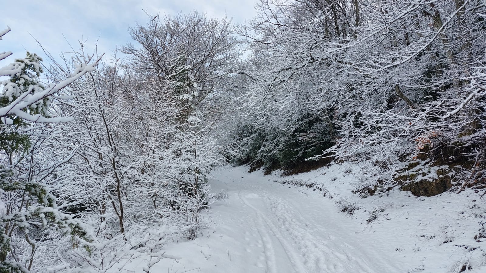 WhatsApp Image 2026 01 25 at8