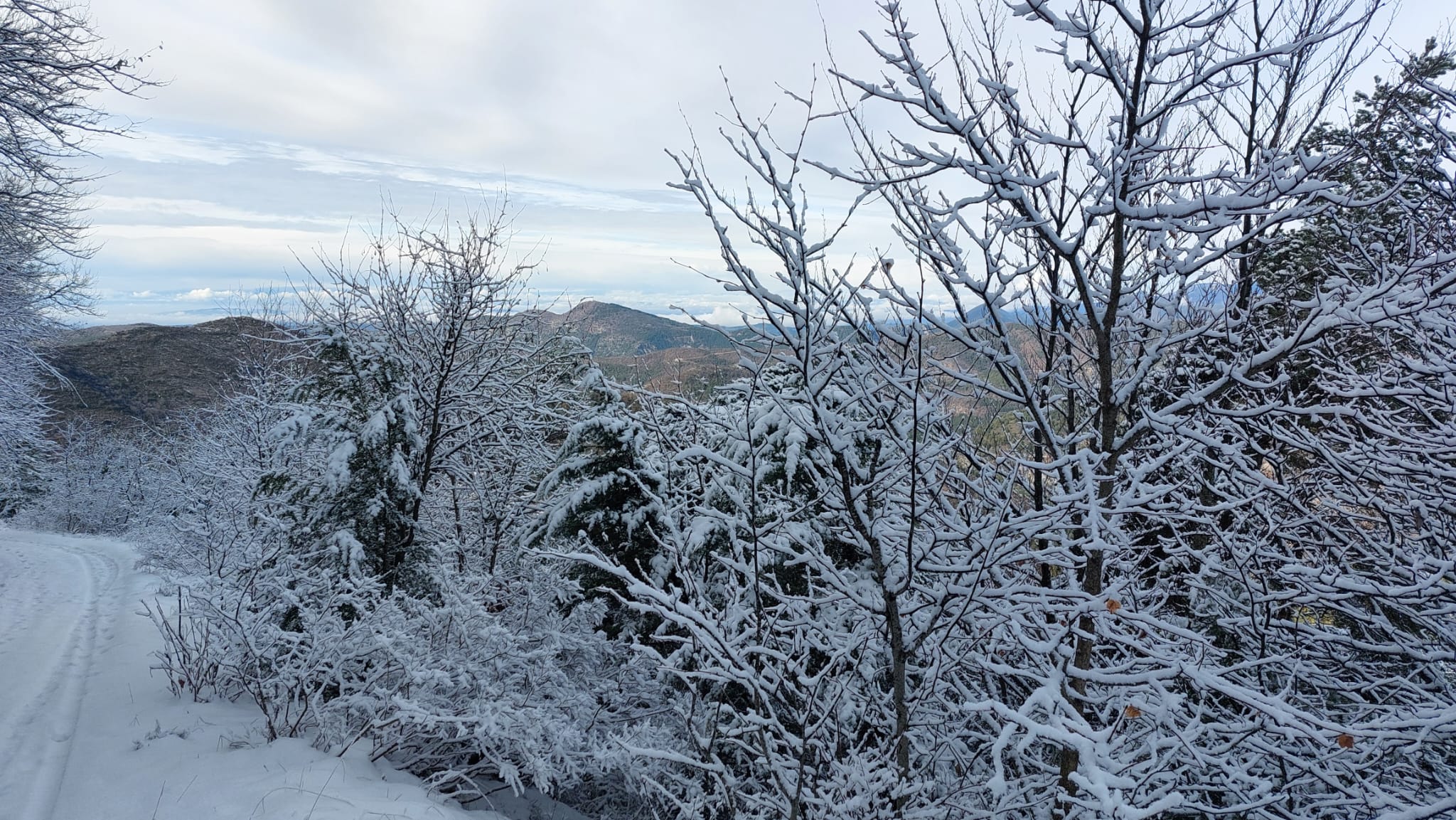 WhatsApp Image 2026 01 25 at 19.17.08