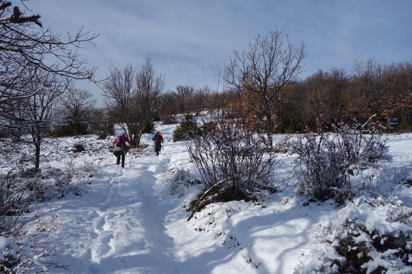 WhatsApp Image 2026 13.55