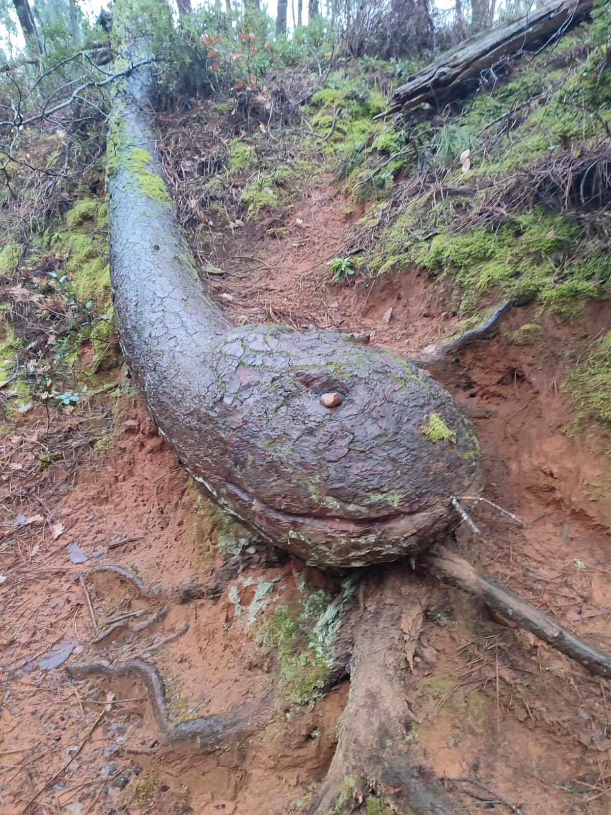 WhatsApp Image 2026 02 23 at 23.28.32