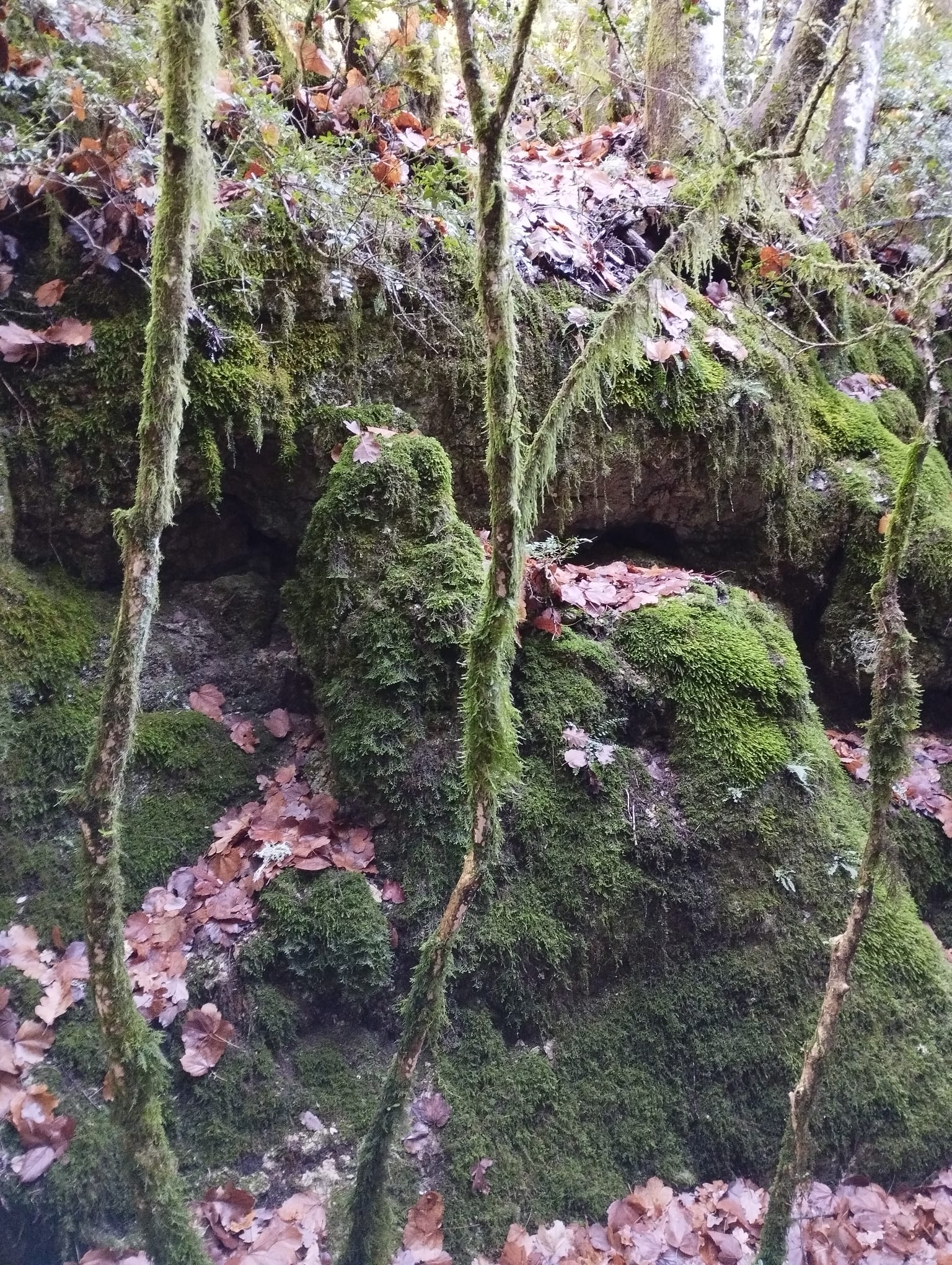 WhatsApp Image 2025222 11 25 at 16.50.25