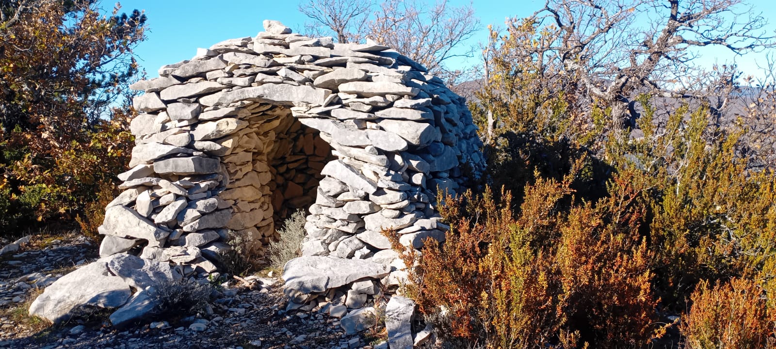 WhatsApp Image 2025 11 27 at 15.37.28