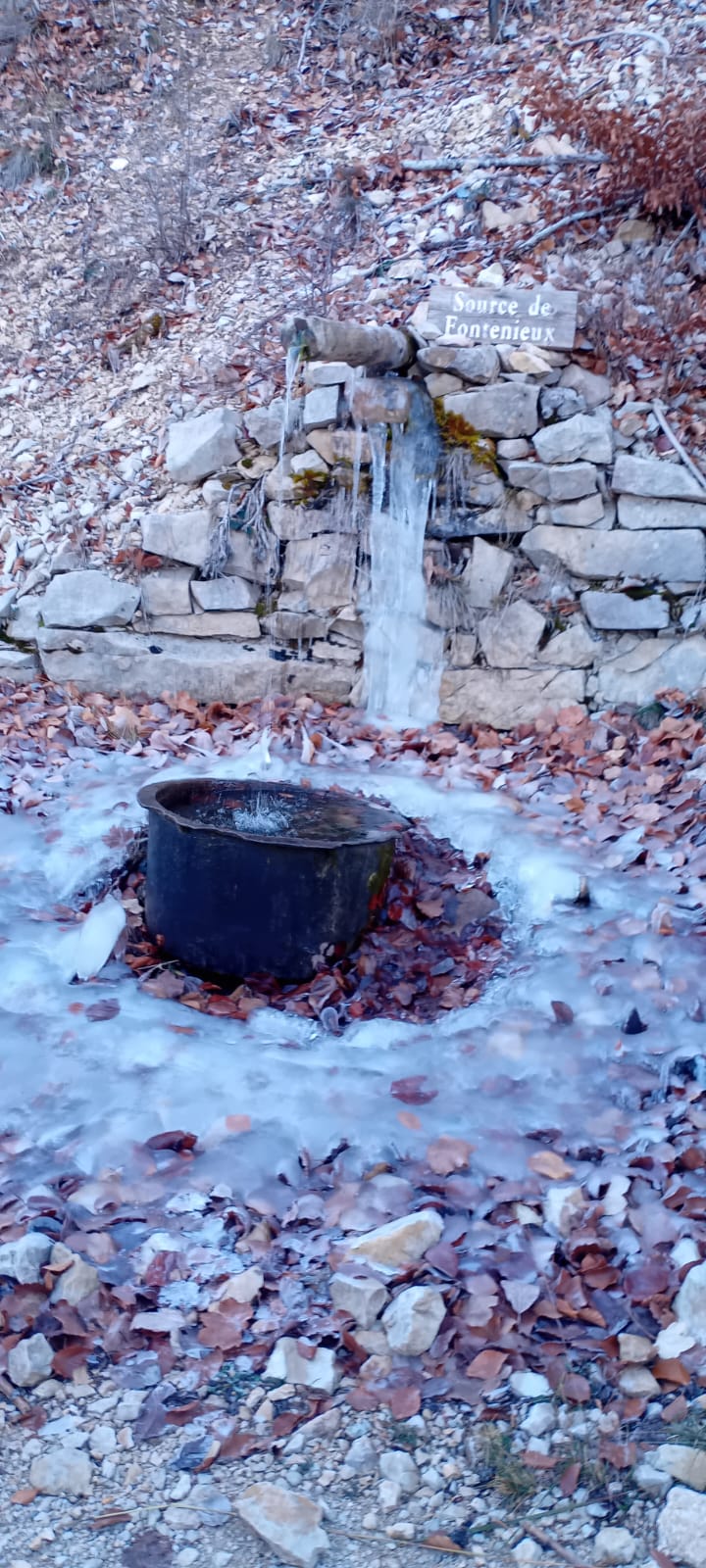 WhatsApp Image 2025 11 27 at 15sss.37.28