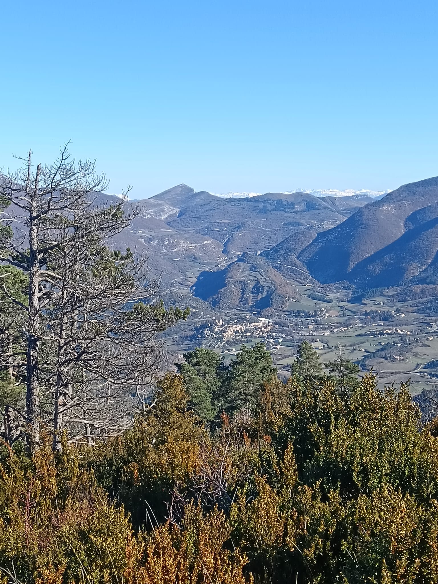 WhatsApp Image 2025 11 27 at 17.39.2aa3