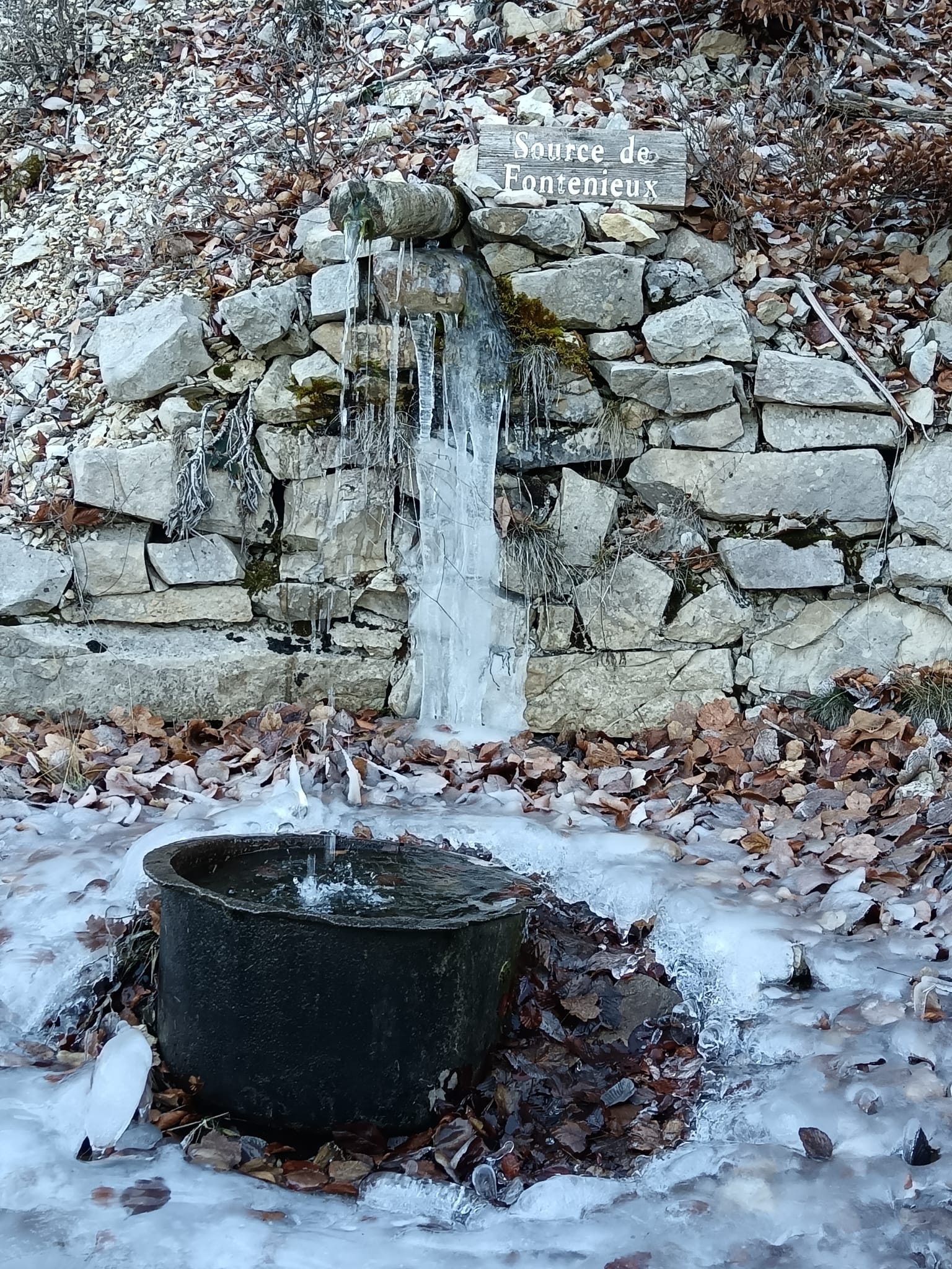 WhatsApp Image 2025 11 27 at 17a.39.23