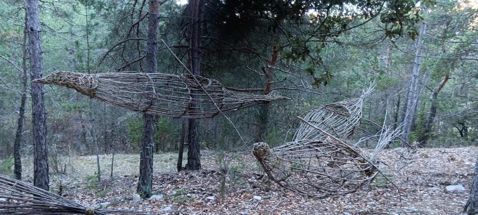 WhatsApp Image 2025 11 27 at 18.1sssss2.41