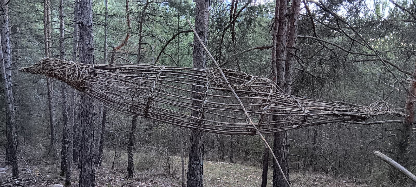 WhatsApp Image 2025 11 27 at 1ssssss8.12.42