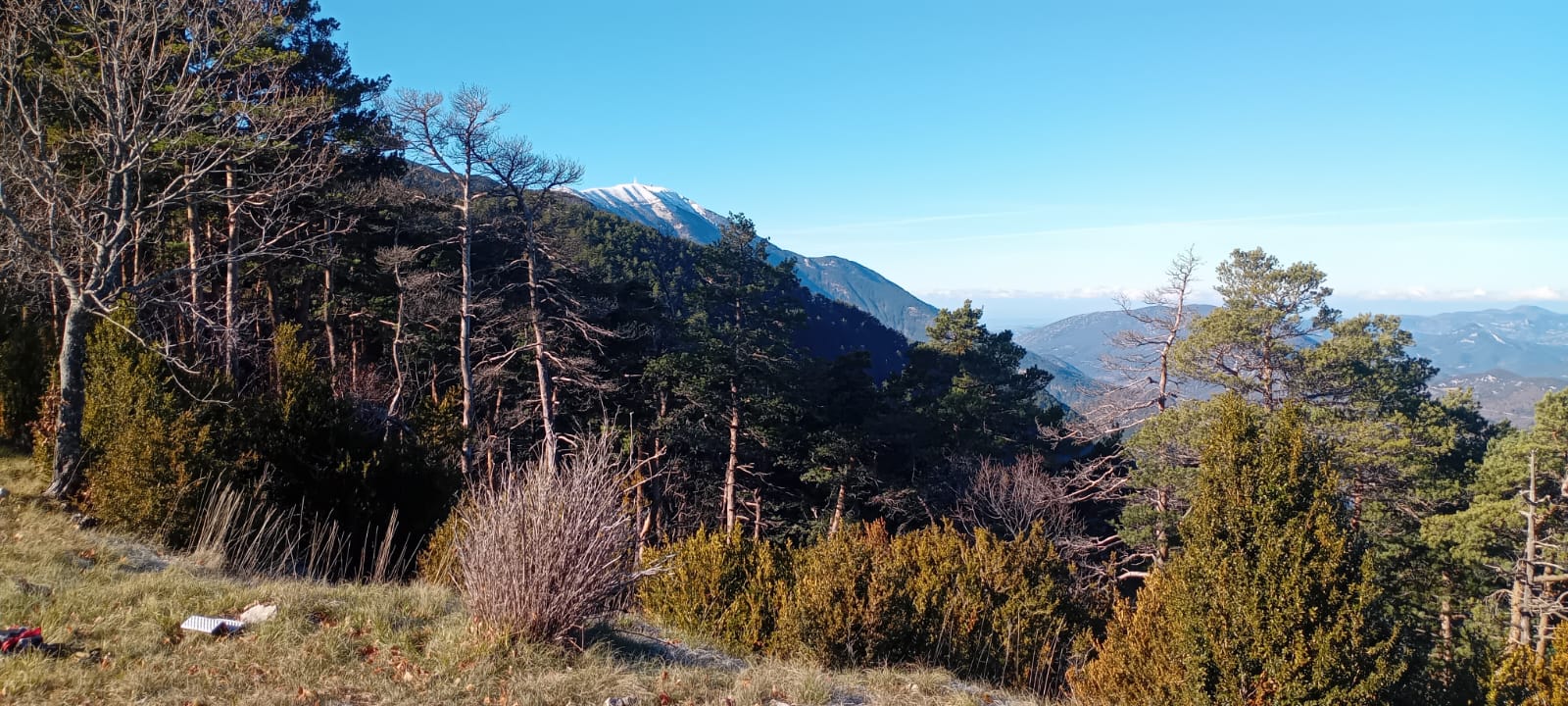 WhatsApp Imssssssage 2025 11 27 at 15.37.30