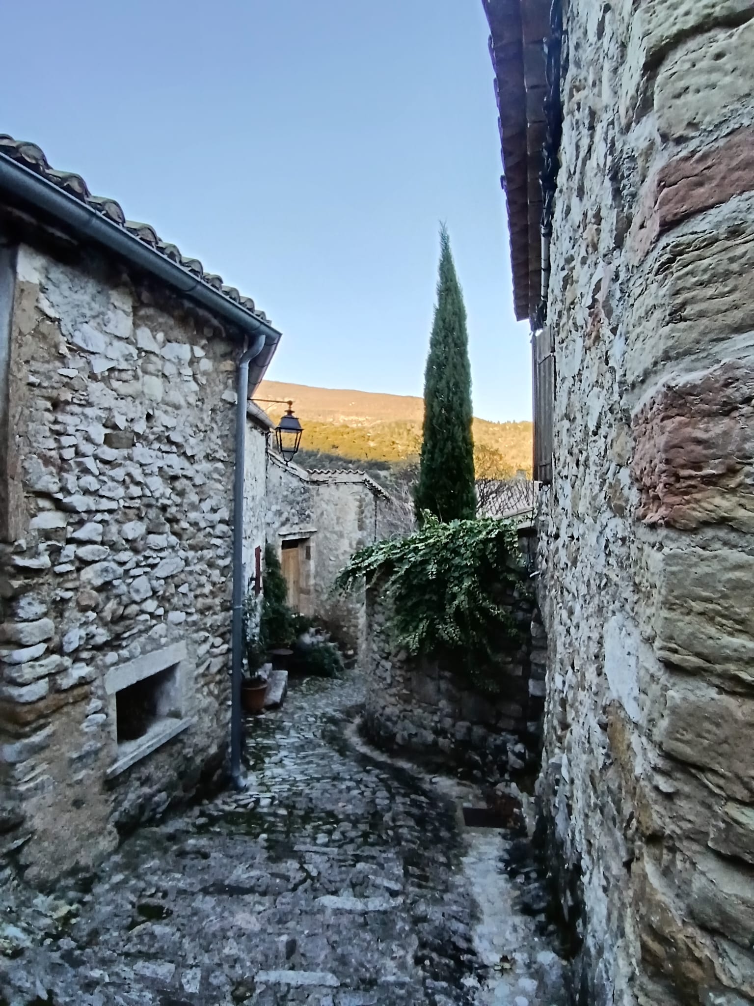 WhzzzzzzzatsApp Image 2025 11 27 at 17.39.23