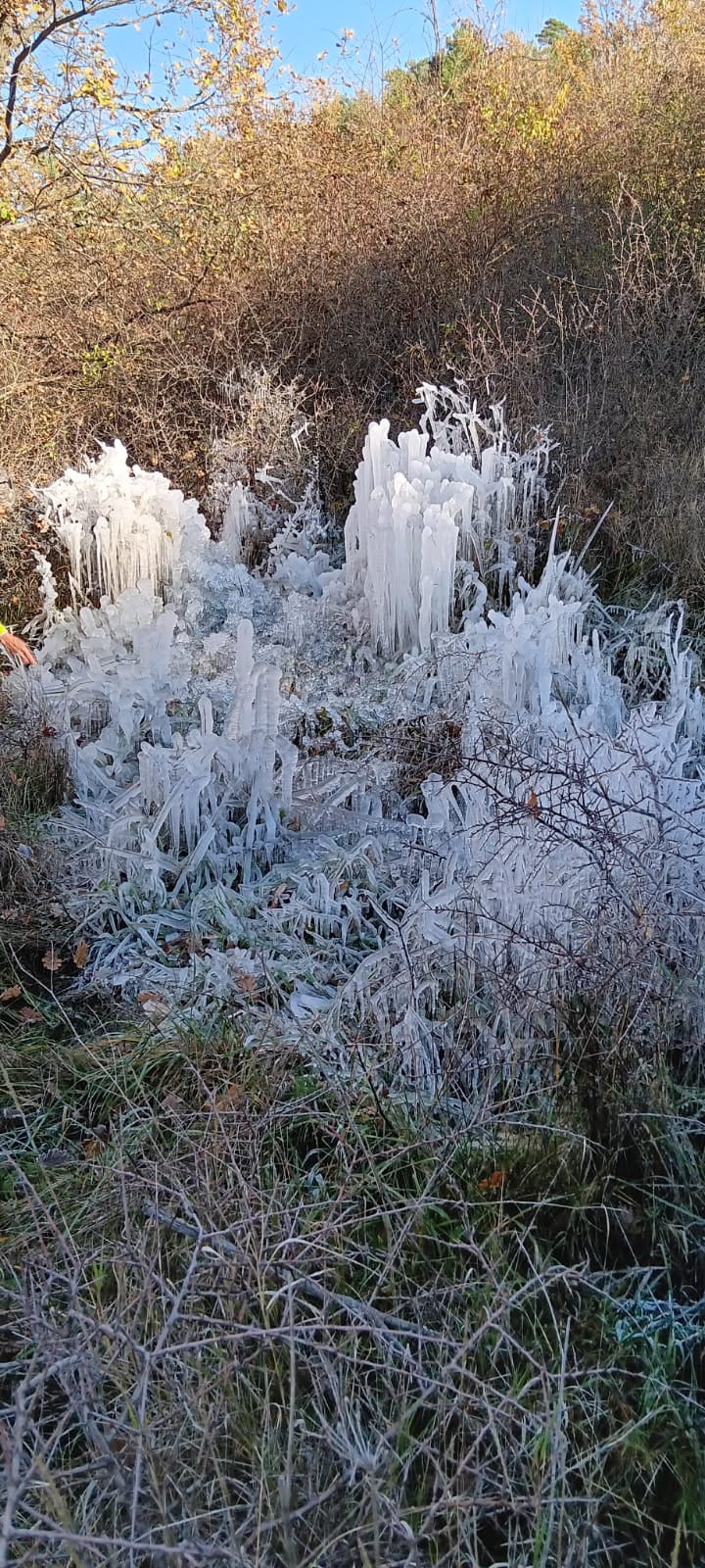 WhatsApp Image 2025 11 29 at 16.5éé9.58