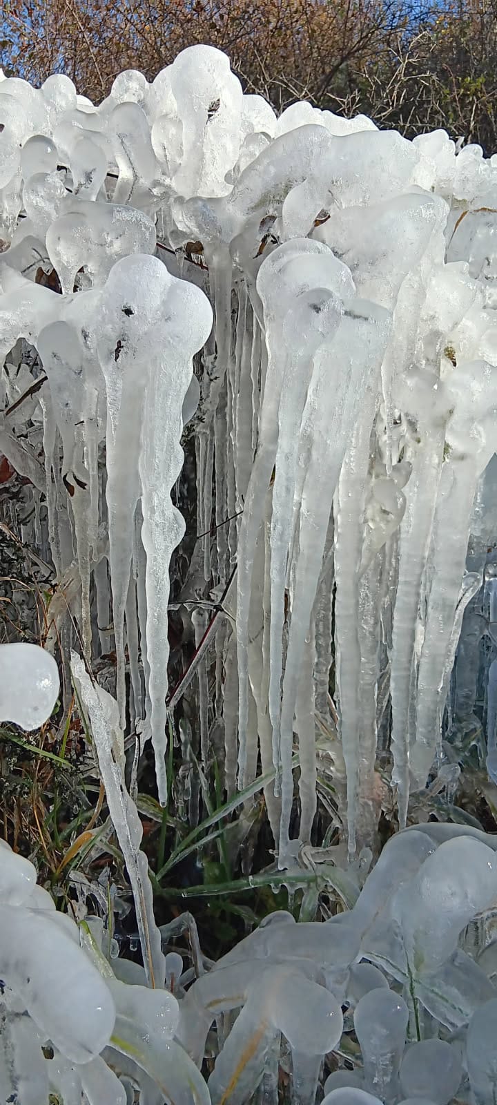 WhatsApp Image 2025 11 29 at 16é.59.58