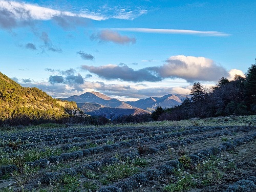 2023 01 05 Chateauneuf de Bordette 090125